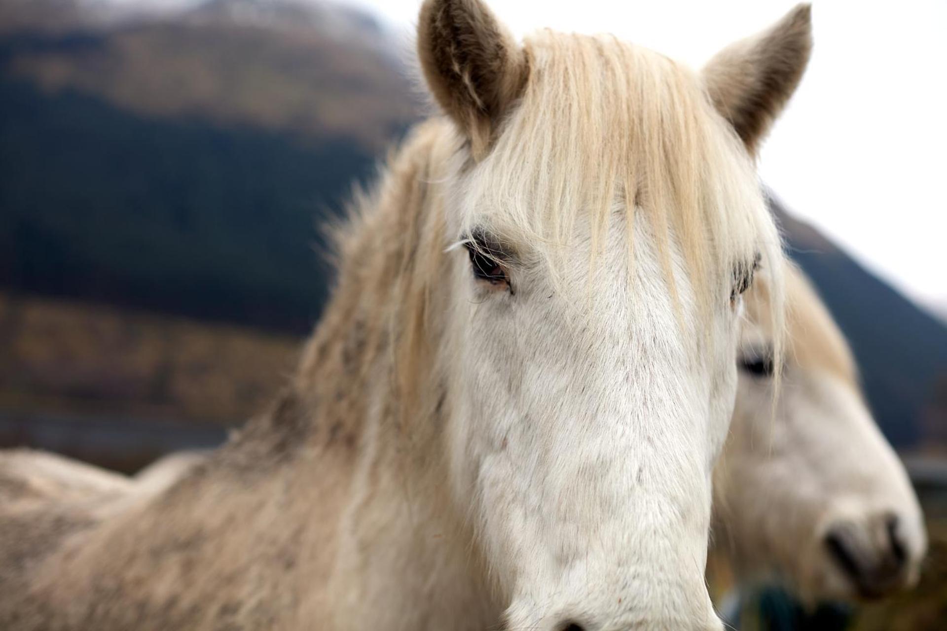 Monachyle Mhor Hotel Lochearnhead Bagian luar foto